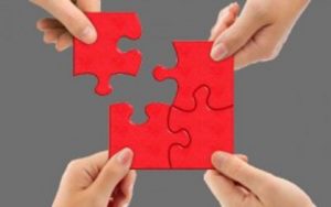 fibu-doc Puzzle